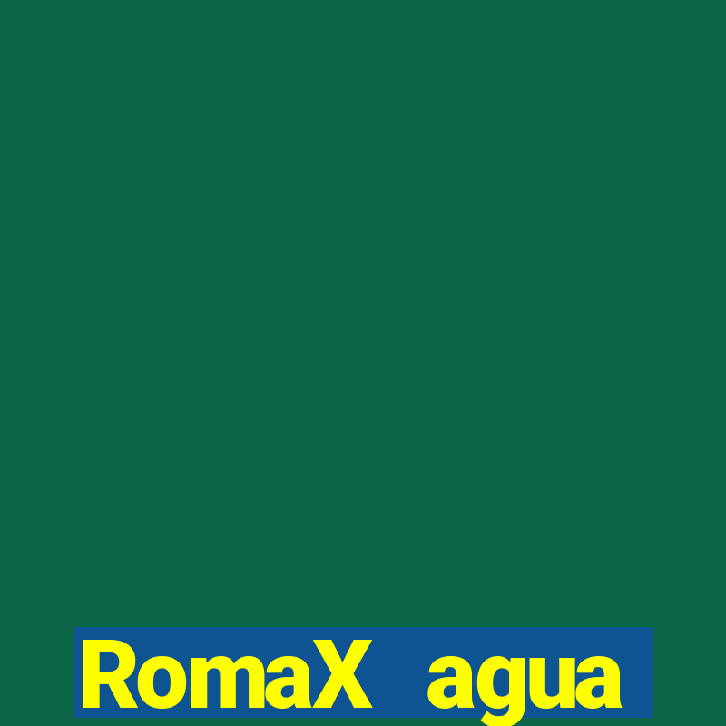 RomaX agua sanitaria fispq agua sanitaria romax