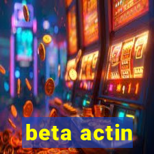 beta actin