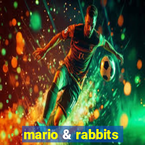 mario & rabbits