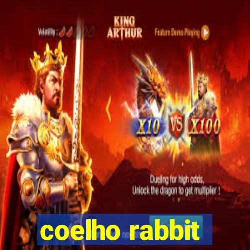 coelho rabbit