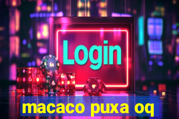 macaco puxa oq