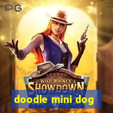 doodle mini dog