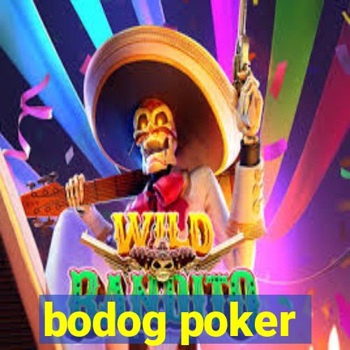 bodog poker