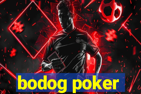 bodog poker