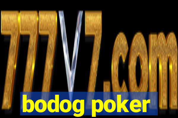 bodog poker