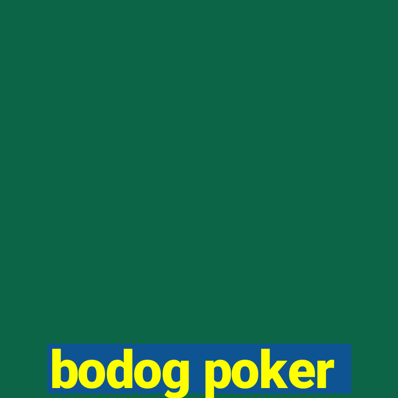 bodog poker