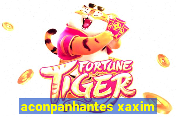 aconpanhantes xaxim