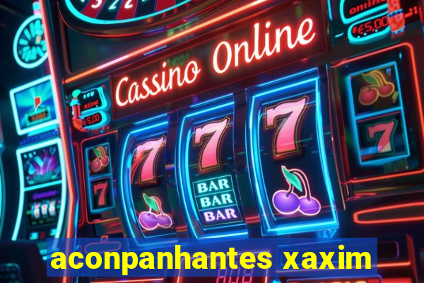 aconpanhantes xaxim