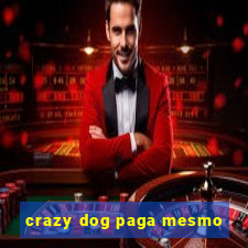 crazy dog paga mesmo