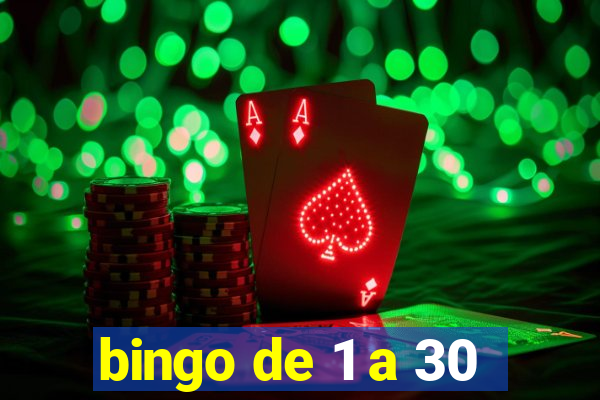 bingo de 1 a 30