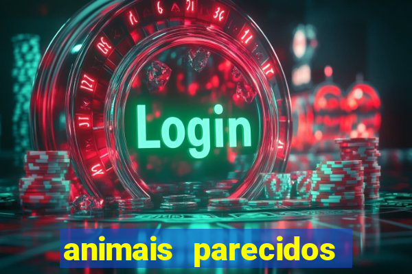 animais parecidos com lontra