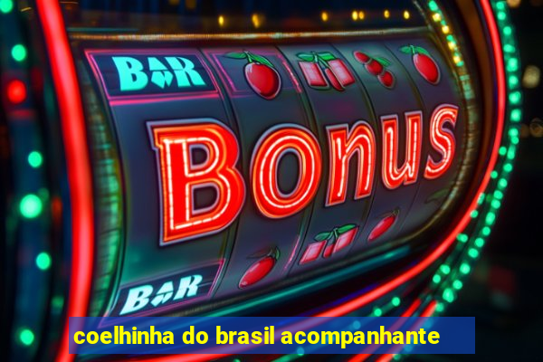 coelhinha do brasil acompanhante