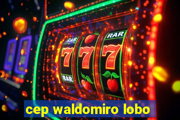 cep waldomiro lobo