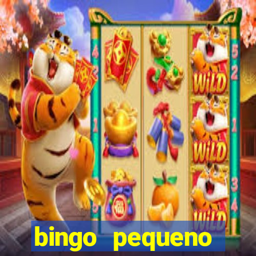 bingo pequeno cotolengo 2023