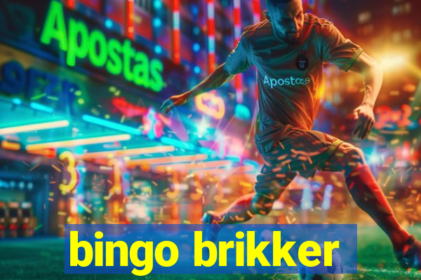 bingo brikker