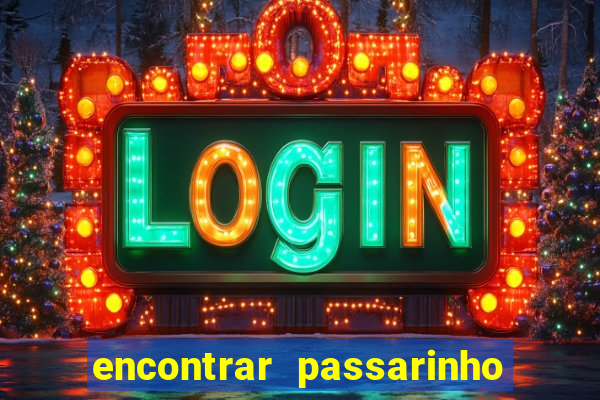 encontrar passarinho morto significado