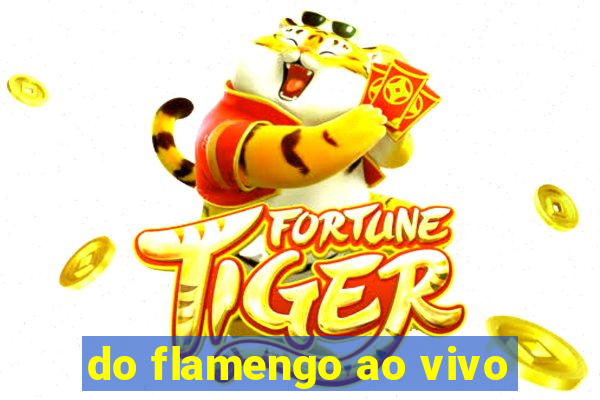 do flamengo ao vivo