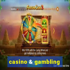 casino & gambling