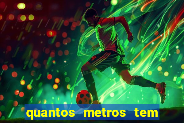 quantos metros tem o neymar