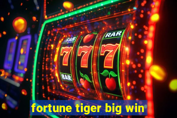 fortune tiger big win