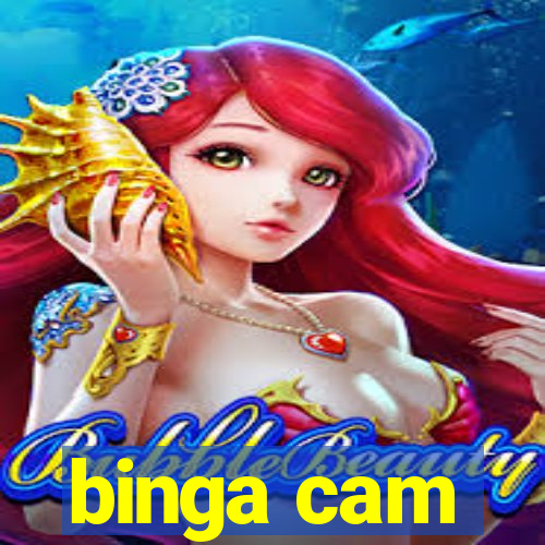 binga cam