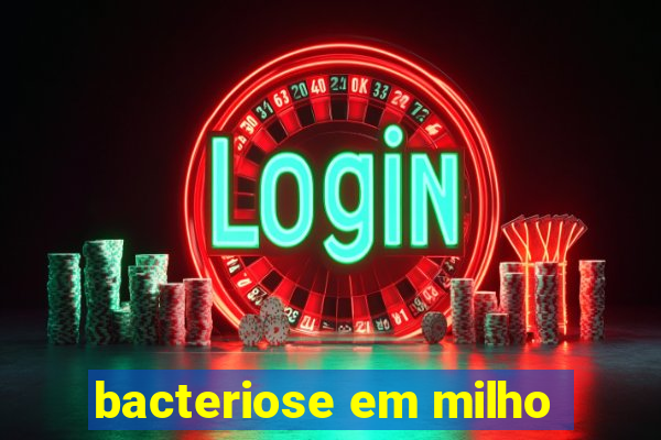 bacteriose em milho