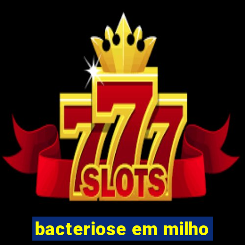 bacteriose em milho