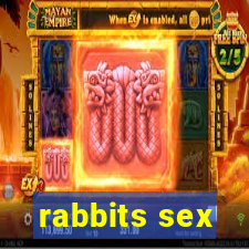 rabbits sex