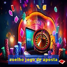 coelho jogo de aposta