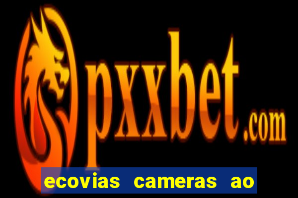 ecovias cameras ao vivo santos