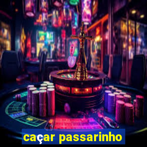 caçar passarinho