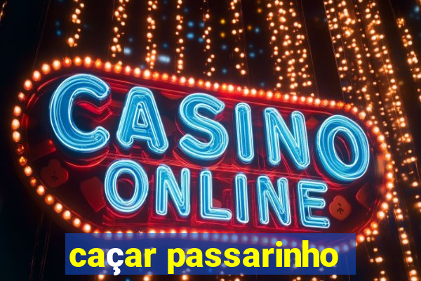 caçar passarinho