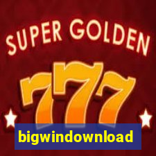 bigwindownload