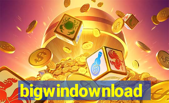 bigwindownload