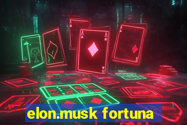 elon.musk fortuna