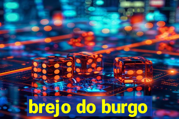 brejo do burgo