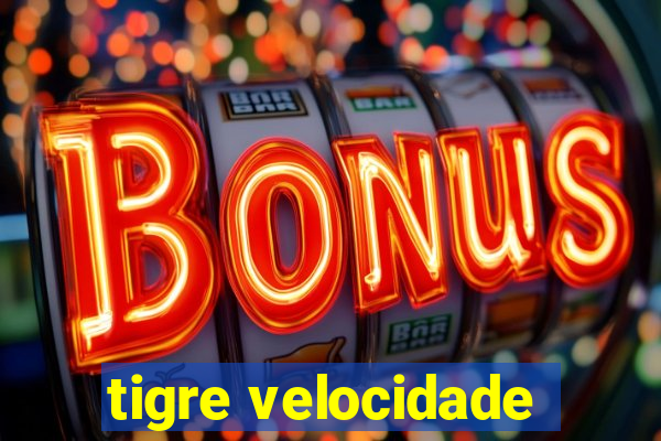 tigre velocidade