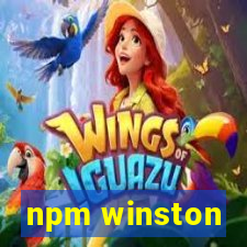 npm winston