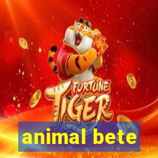 animal bete