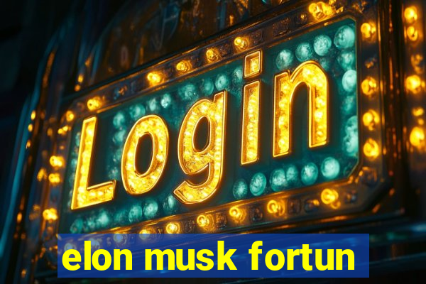 elon musk fortun