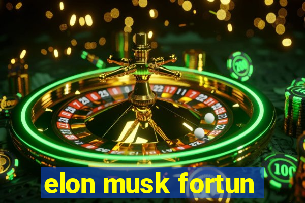 elon musk fortun