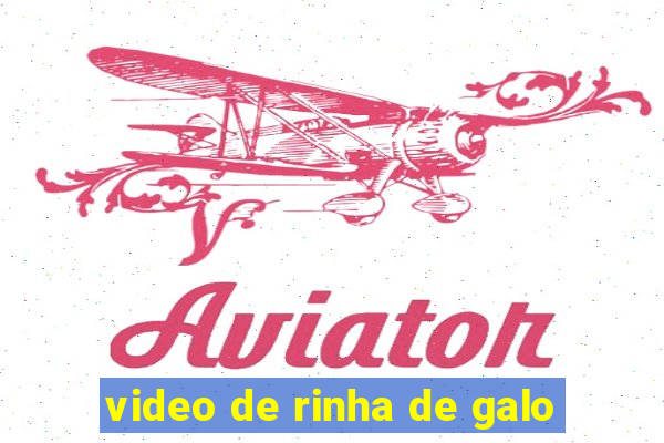 video de rinha de galo