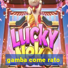 gamba come rato