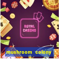 mushroom colony stardew valley