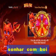 sonhar com boi jogo do bicho