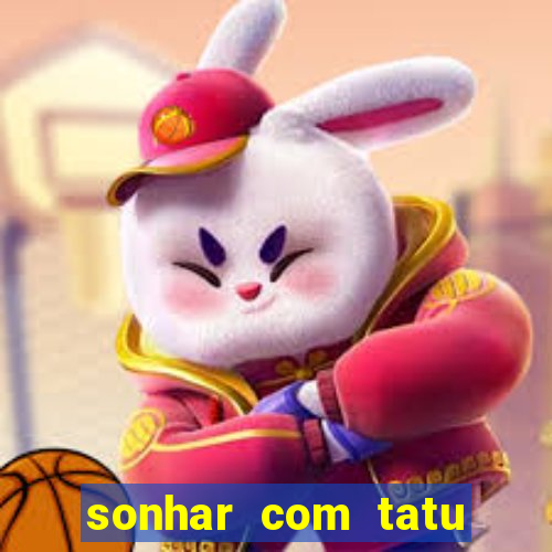 sonhar com tatu jogo do bicho