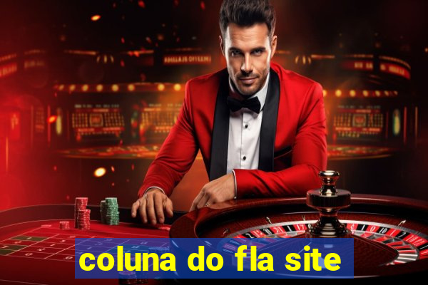 coluna do fla site