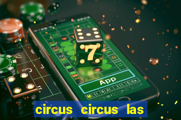 circus circus las vegas hotel and casino