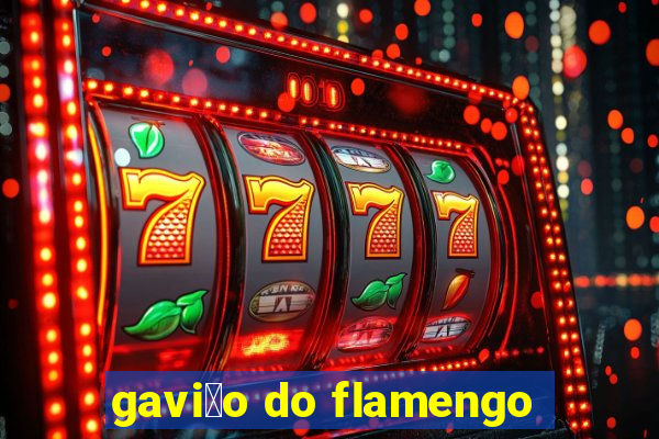 gavi茫o do flamengo