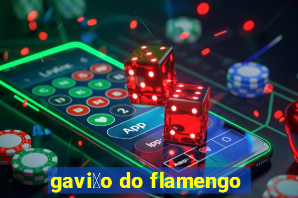 gavi茫o do flamengo